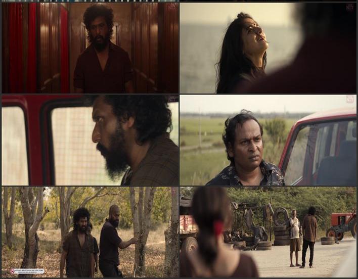 DC 2026 Hindi (Cleaned) 1080p 720p 480p WEB-DL x264 ESubs