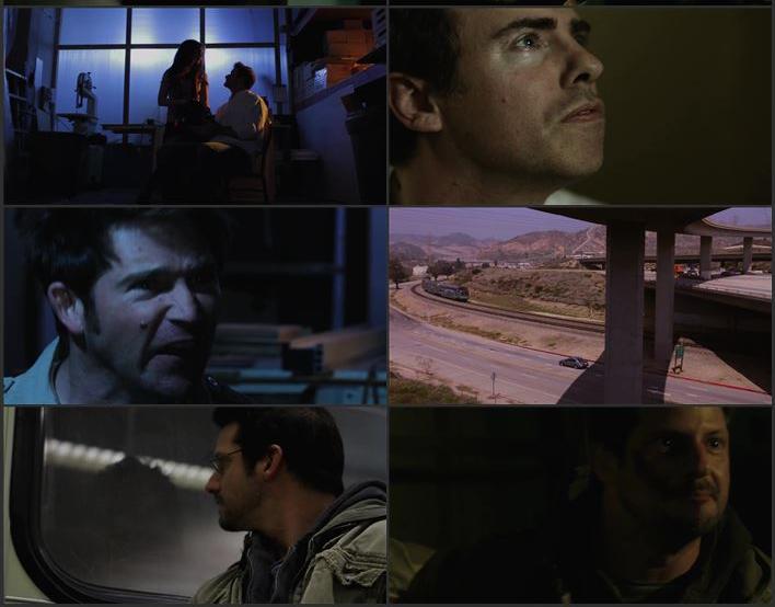 Cut! 2014 Dual Audio Hindi (ORG) 720p 480p WEB-DL x264 ESubs