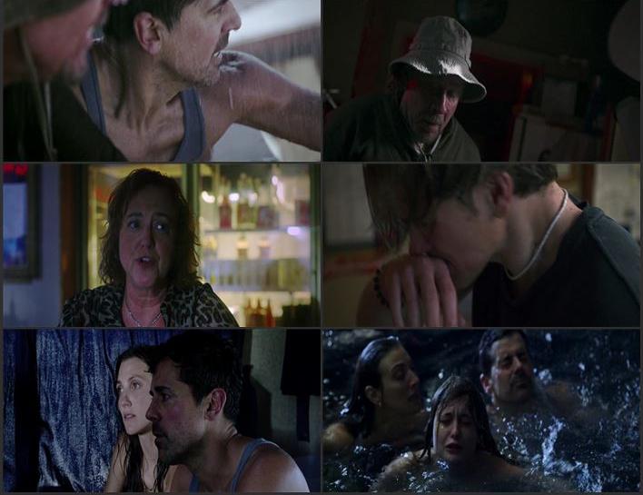 Shark Thrash 2026 English (ORG 5.1) 1080p 720p 480p WEB-DL x264