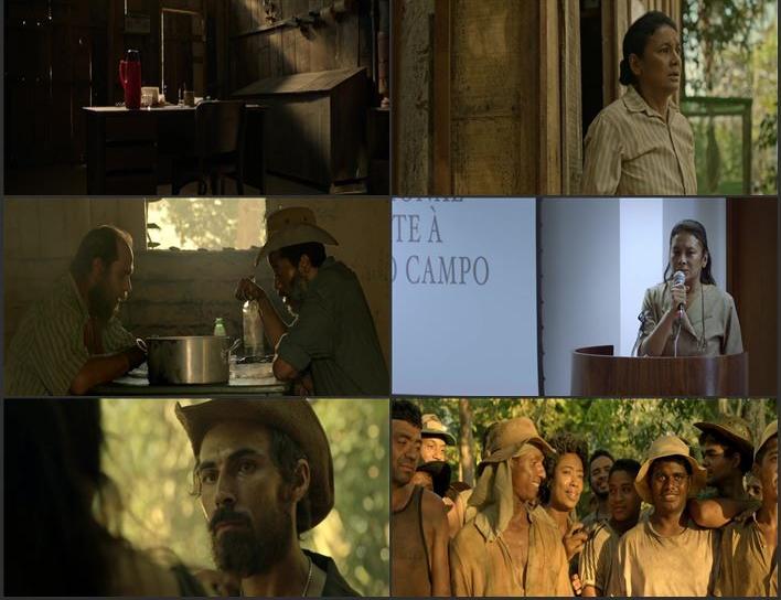 Pureza 2022 Dual Audio Hindi (ORG) 720p 480p WEB-DL x264 ESubs